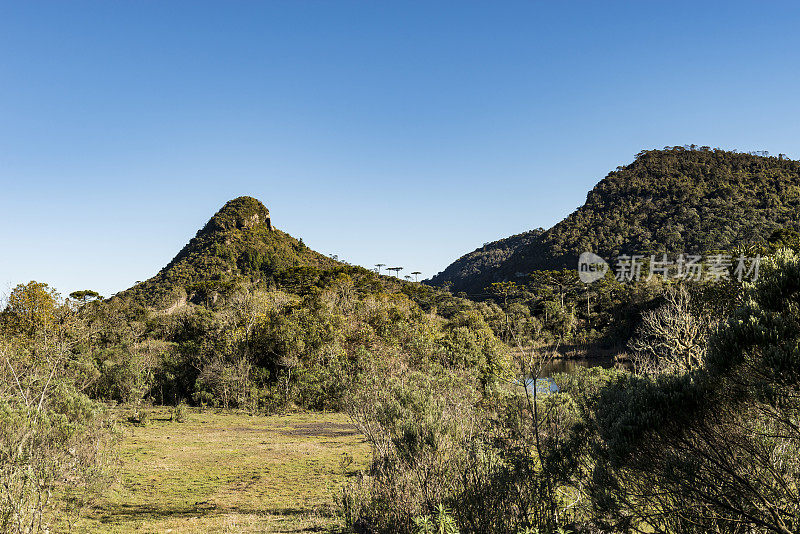 Catarinense山脉(Serra do panelao, Bom Retiro)